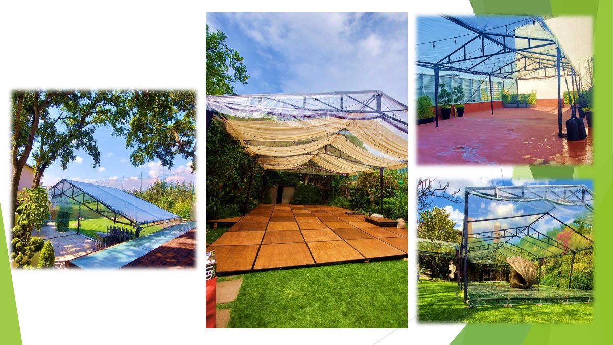 Carpas transparentes: fotografías y montajes del catálogo, página 23