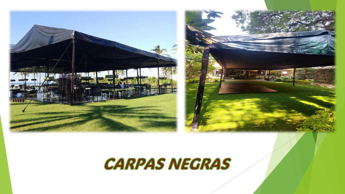 Carpas negras: fotografías y montajes del catálogo, página 25