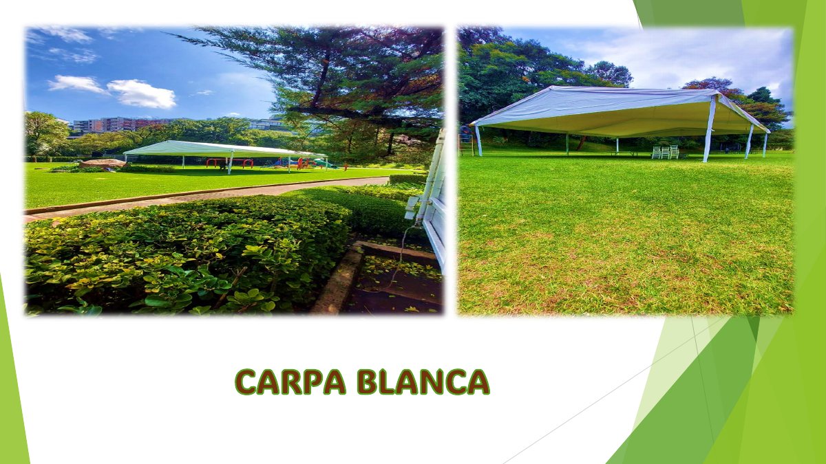 Carpas blancas: fotografías y montajes del catálogo, página 28