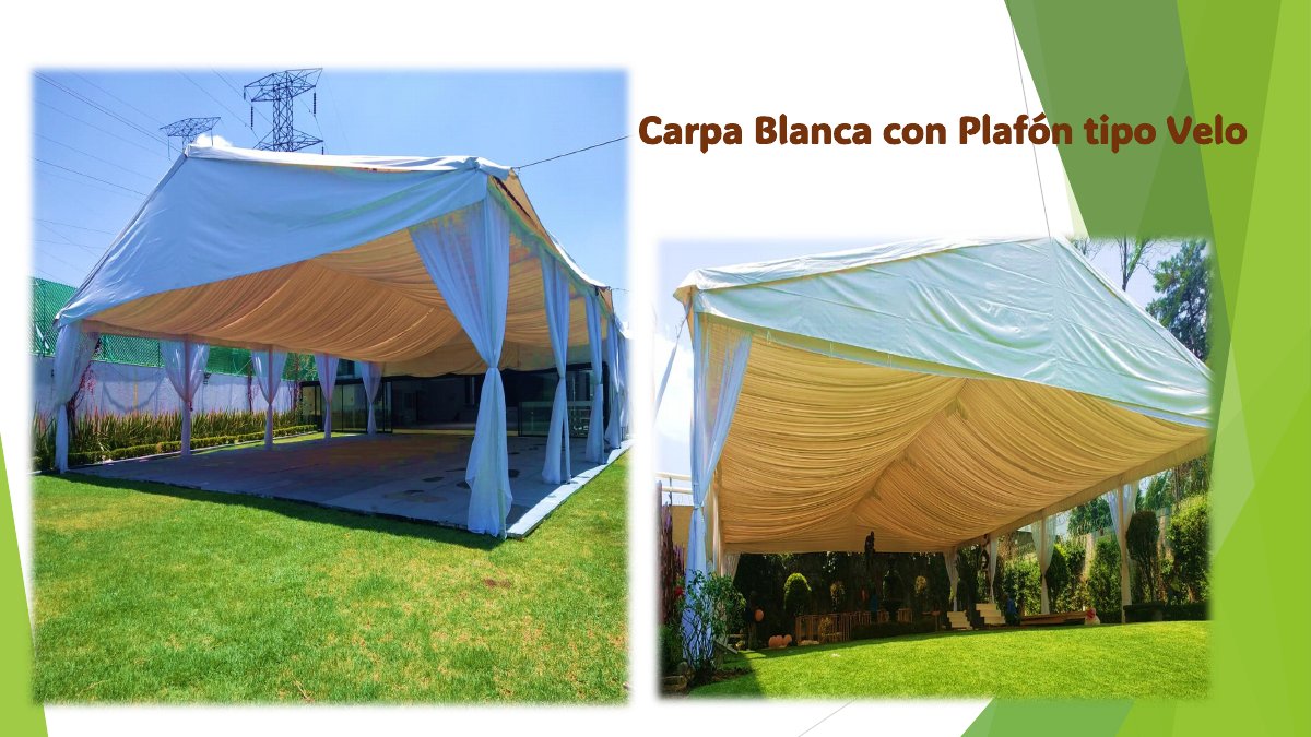 Carpas blancas: fotografías y montajes del catálogo, página 31